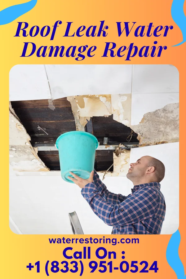 Roof Leak Water Damage Repair in Jordan Hill, LA