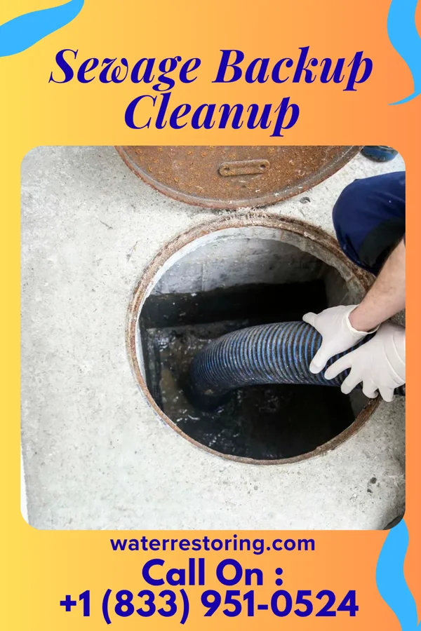 Sewage Backup Cleanup in Jordan Hill, LA